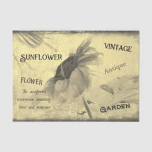 Papel De Seda Vintage Sepia Tone Sunflower Ephemera Textura