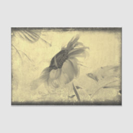 Papel De Seda Vintage Sepia Tone Sunflower Grunge Textura