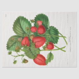 Papel De Seda Vintage Strawberry