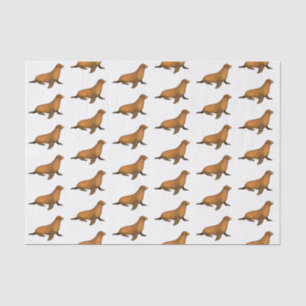 Papel De Seda Vintage Stylized Brown Seal Sea Lion