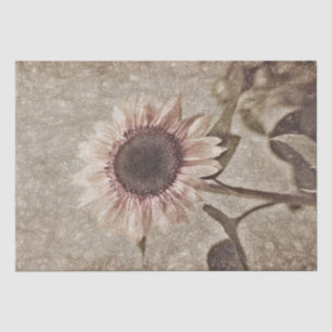 Papel De Seda Vintage Sunflower Sepia Brown - Textura Rústica R