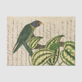 Papel De Seda Vintage Tropical Parrot