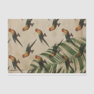 Papel De Seda Vintage Tropical Parrot