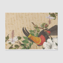 Papel De Seda Vintage Tropical Toucan
