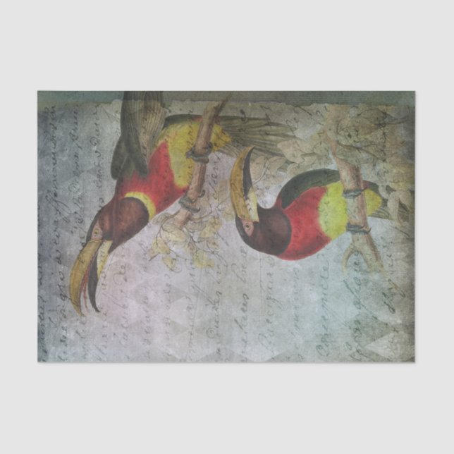 Papel De Seda Vintage Tropical Toucan (Frente )