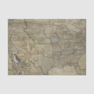Papel De Seda Vintage US Map