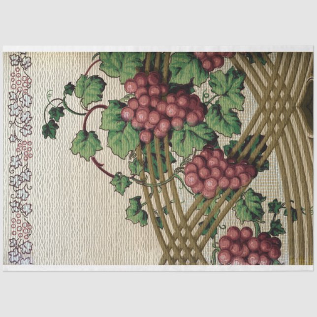 Papel De Seda Vintage Uvas e Vinhas Russas (Frente )