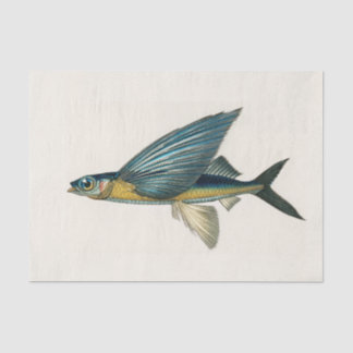 Papel De Seda vintage voadora aquarela