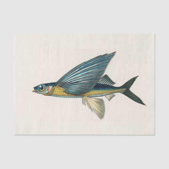 Papel De Seda vintage voadora aquarela (Frente )