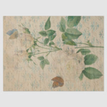 Vintage White Rose e Butterfly Decoupage