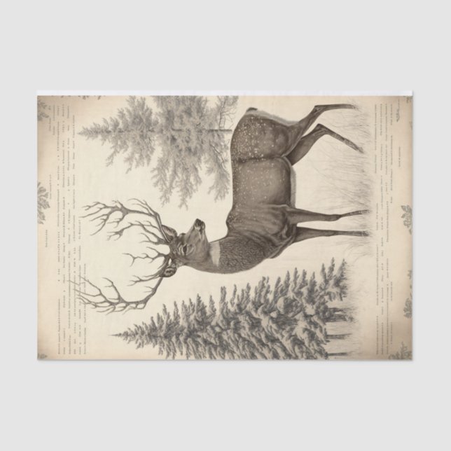 Papel De Seda vintage Winter Deer (Frente )