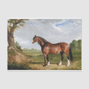 Papel De Seda Vintagem Antiquada de Pintura de Óleo Equestre