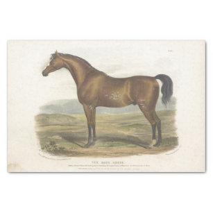 Papel De Seda Vintagem de desacoplamento de Ephemera em cavalos 