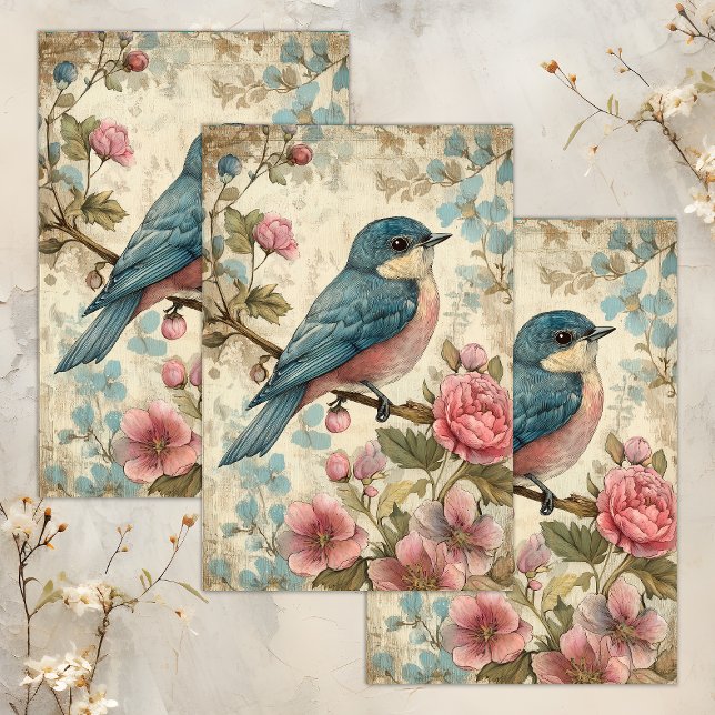 PAPEL DE SEDA VINTAGEM DE DESCOUPAÇÃO DE AVES (VINTAGE BIRD DECOUPAGE TISSUE PAPER)