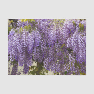 Papel De Seda Violet Wisteria Flowers