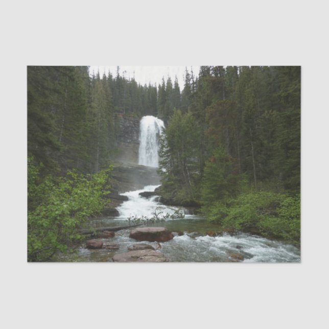 Papel De Seda Virginia Falls no Glacier National Park (Frente )