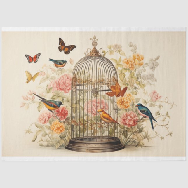 Papel De Seda Voo Whimsical: Dissociação de Birdcage (Frente )