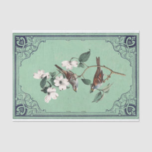 Papel De Seda Warbler Bird em White Dogwood Green Frame