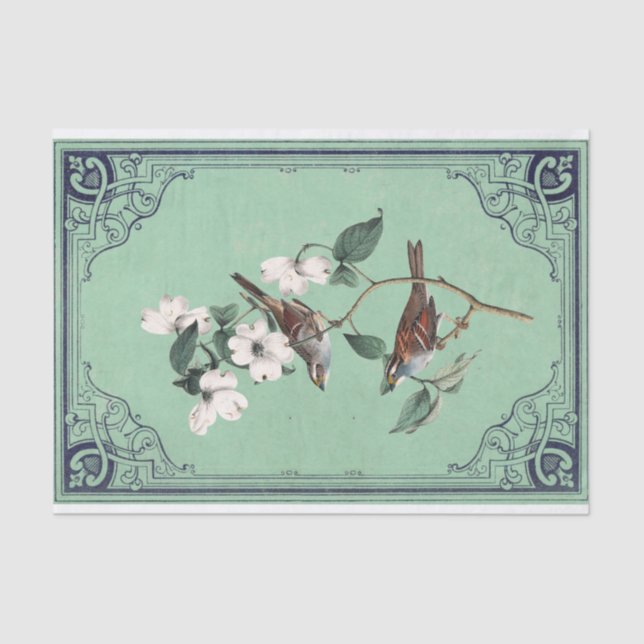 Papel De Seda Warbler Bird em White Dogwood Green Frame (Frente )
