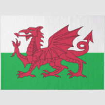 Welsh Flag (País de Gales) (Welsh Dragon)