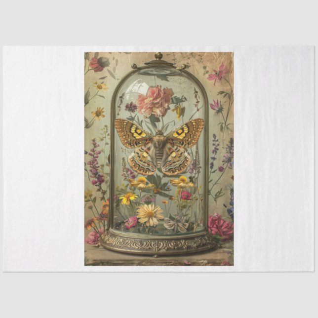 Papel De Seda Whimsical Moth (Frente )