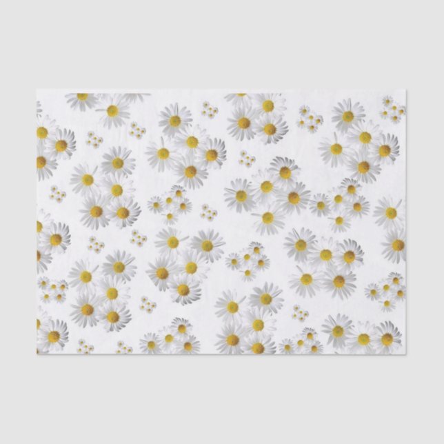 Papel De Seda White Daisy do Livro Branco (Frente )