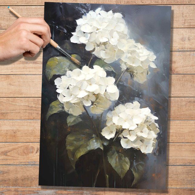 Papel De Seda White Hydrangea 1 - Documento de dissociação (Criador carregado)