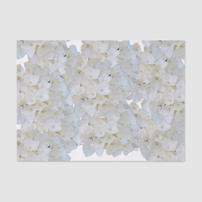 Papel De Seda White Hydrangeas Tissue Paper (Frente )