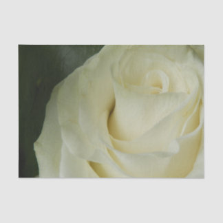 Papel De Seda White Rose
