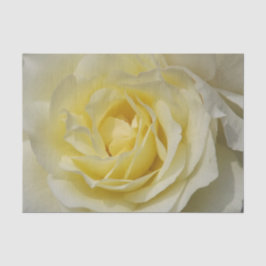 Papel De Seda White Rose - Livro