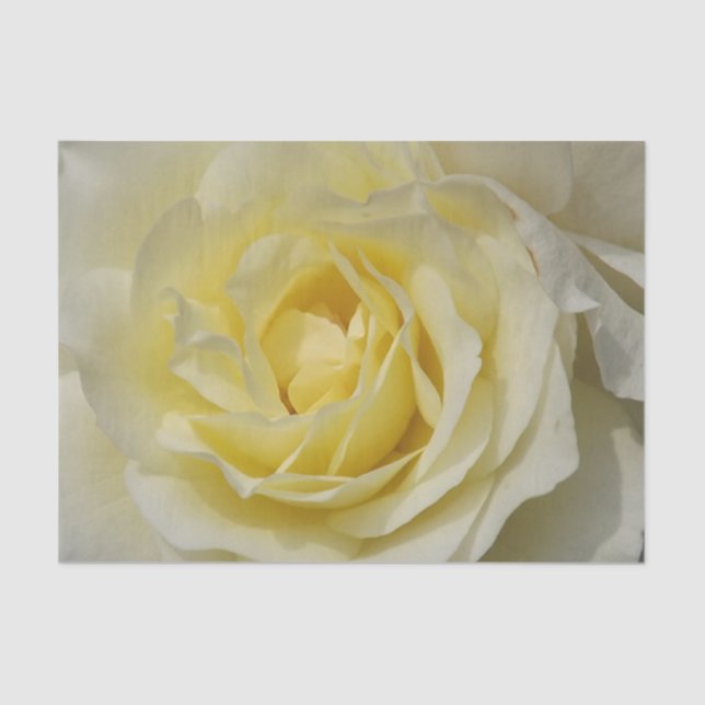 Papel De Seda White Rose - Livro (Frente )