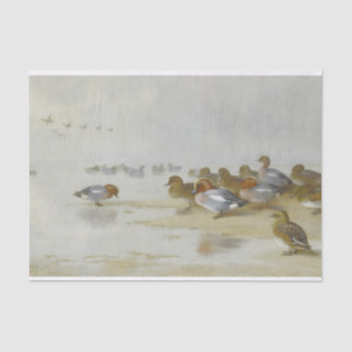 Papel De Seda Wigeon e Teal pela borda da água, Arte