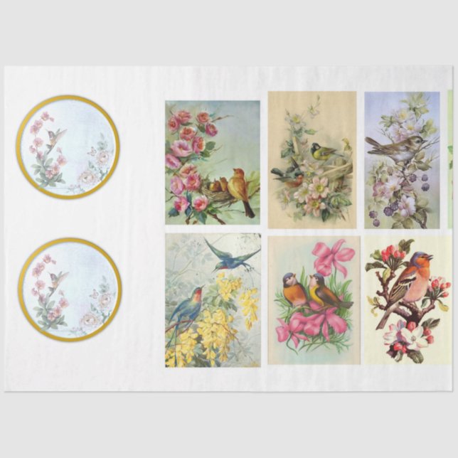 Papel De Seda Wild Bird Series Design 2 (Frente )