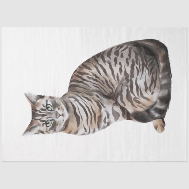 Papel De Seda Wild Cats Series Design 6 (Frente )