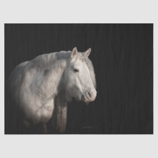 Papel De Seda Wild Horse Decoupage Tissue Paper