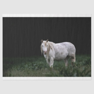 Papel De Seda Wild Horse Tissue Paper