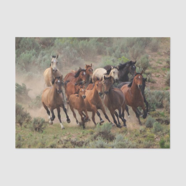 Papel De Seda Wild Mustang Herd (Frente )