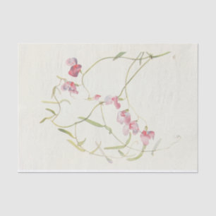 Papel De Seda Wild Sweet Pea por Margaret Armstrong