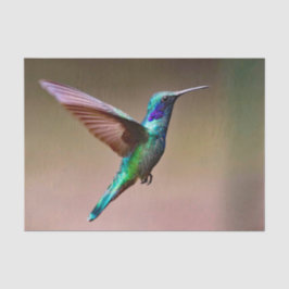 Papel De Seda Wildlife Green Hummingbird Foto