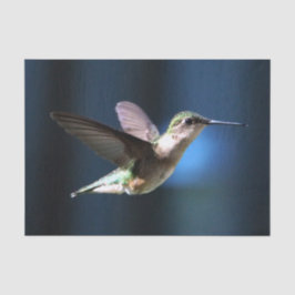Papel De Seda Wildlife Hummingbird Foto