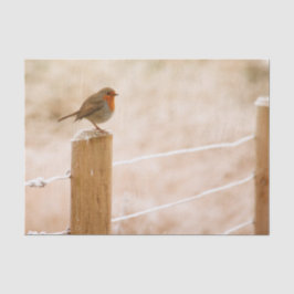 Papel De Seda Winter Robin Redbreast