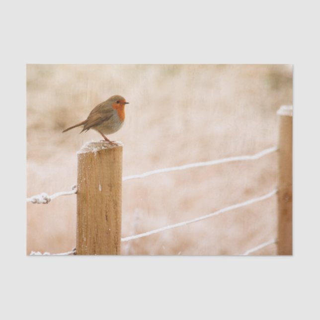 Papel De Seda Winter Robin Redbreast (Frente )