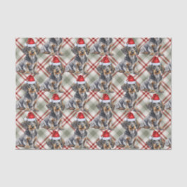 Papel De Seda Wire Haired Dachshund Santa Dog Plaid Christmas