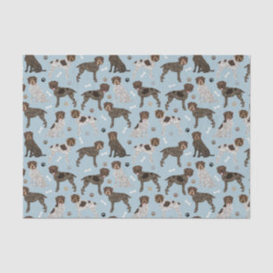 Papel De Seda Wirehaired Pointing Griffon