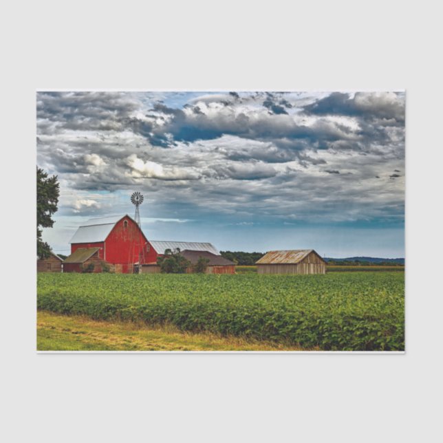 Papel De Seda Wisconsin Barns Sob Tempestade Sky (Frente )