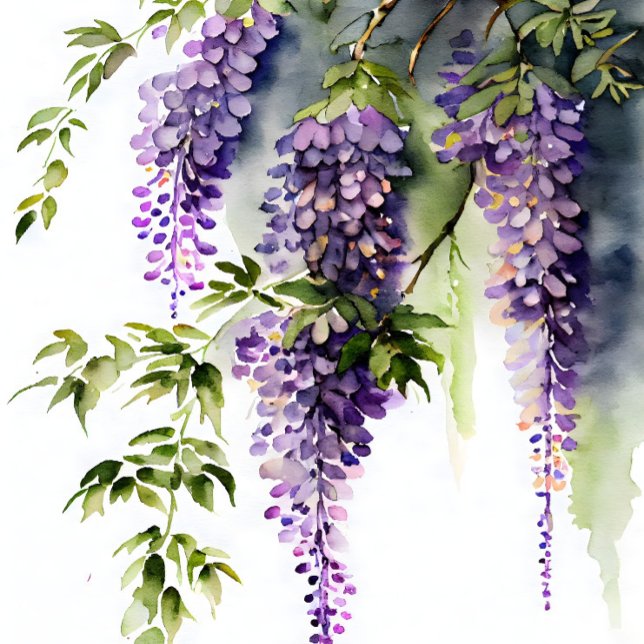 Papel De Seda Wisteria na Desnuvem Sombreada (Criador carregado)