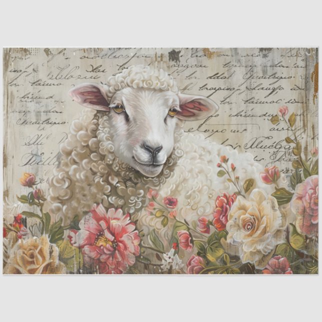 Papel De Seda Wooly Sheep (Frente )