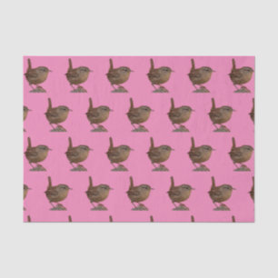 Papel De Seda Wren