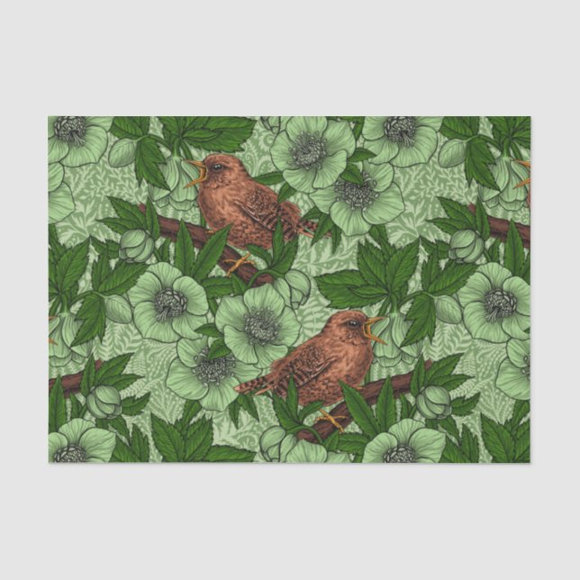 Papel De Seda Wren e hellebord, verde-claro (Frente )