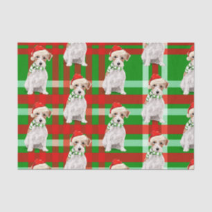 Papel De Seda Xadrez Verde com Jack Russell Terrier no Natal